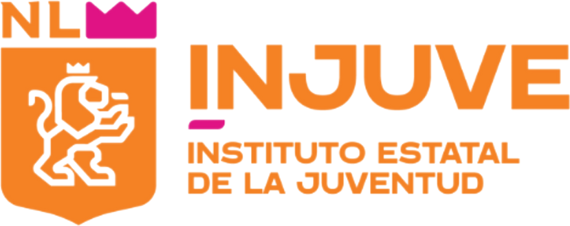 INJUVE Instituto Estatal de la Juventud
